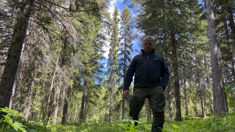 Forestry expertise