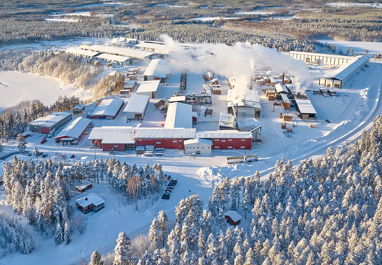 Forestry & Wood Products